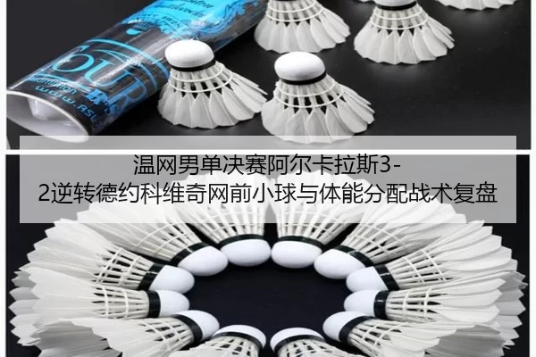wen-wang-nan-dan-jue-sai-a-er-ka-la-si-ni-zhuan-de-yue-ke-wei-qi-wang-qian-xiao-qiu-yu-ti-neng-fen-pei-zhan-shu-fu-pan-3-501.jpg